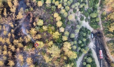 Adana’da orman yangını