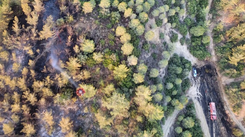 Adana’da orman yangını