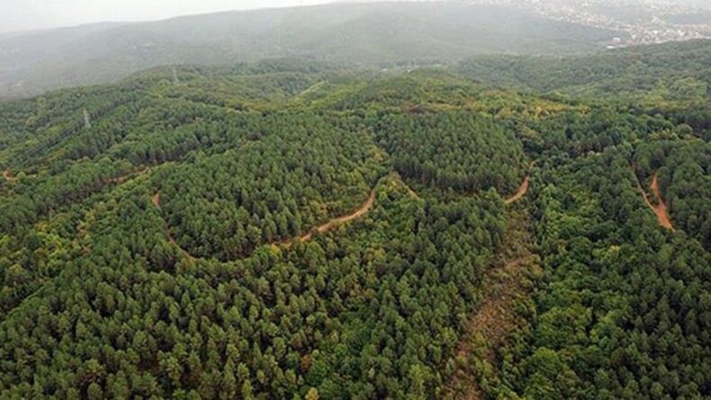 Ankara’da ormanlara giriş yasaklandı