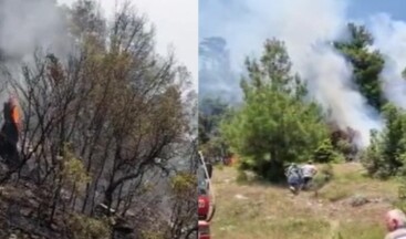 Antalya’da çıkan orman yangınına müdahale ediliyor