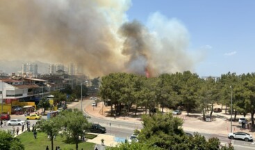 Antalya’da orman yangını… Kreş tahliye edildi