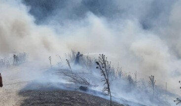 Balıkesir’in 3 ilçesinde orman yangını