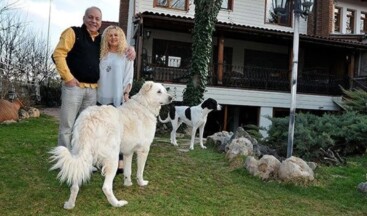 Bekir Coşkun’un eşi Andree Hanım’dan sokak köpekleri için uyarılar