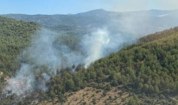 Bir yangın haberi de Milas’tan