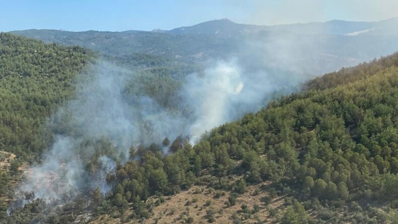 Bir yangın haberi de Milas’tan