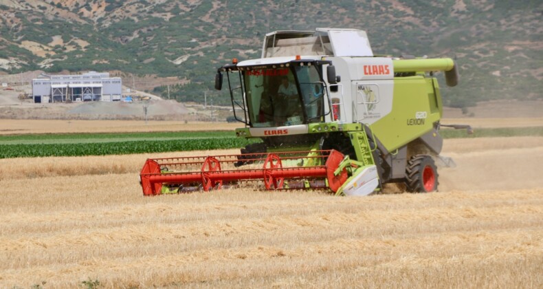 Buğday ve arpa hasadında kayıp uyarısı