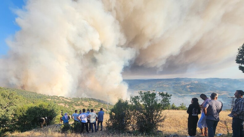 Bursa-Balıkesir il sınırında orman yangını