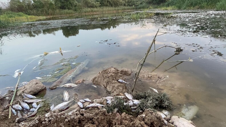 Bursa Ovası’nı besleyen Nilüfer Çayı’nda korkutan manzara