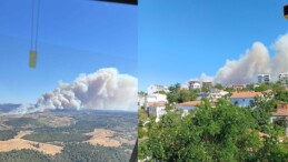 Çanakkale’de bir orman yangını daha