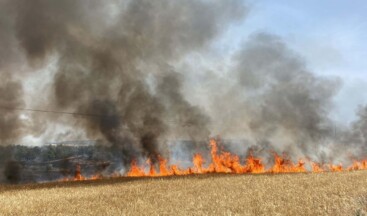 Çanakkale’de korkutan yangın! Havadan karadan müdahale ediliyor