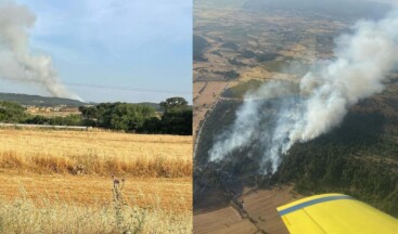 Çanakkale’de orman yangını: 5 hektar alan küle döndü