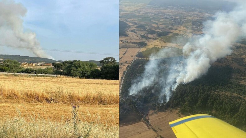 Çanakkale’de orman yangını: 5 hektar alan küle döndü