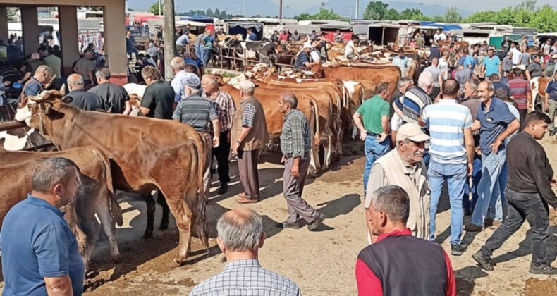 Emeklileri kurban ettiler