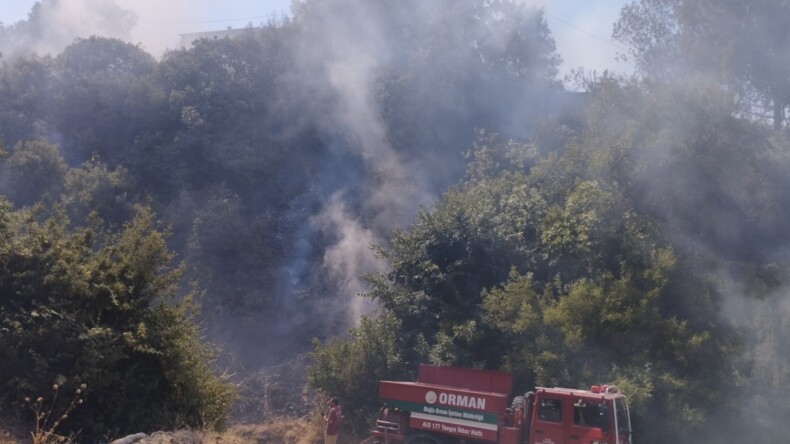 Evde çıkan yangın ormana sıçradı