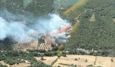 Evler ve ağıllar boşaltmıştı… İzmir’deki yangın kontrol altında