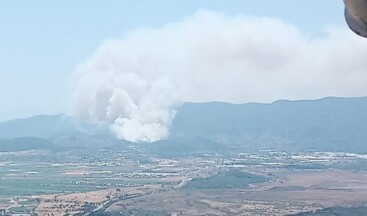 İzmir Menderes’te orman yangını