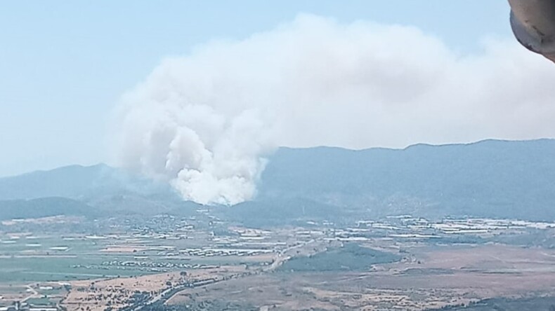 İzmir Menderes’te orman yangını