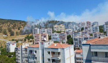 İzmir’de orman yangını: Ekipler müdahale ediyor