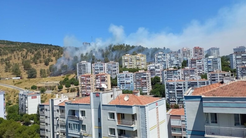 İzmir’de orman yangını: Ekipler müdahale ediyor