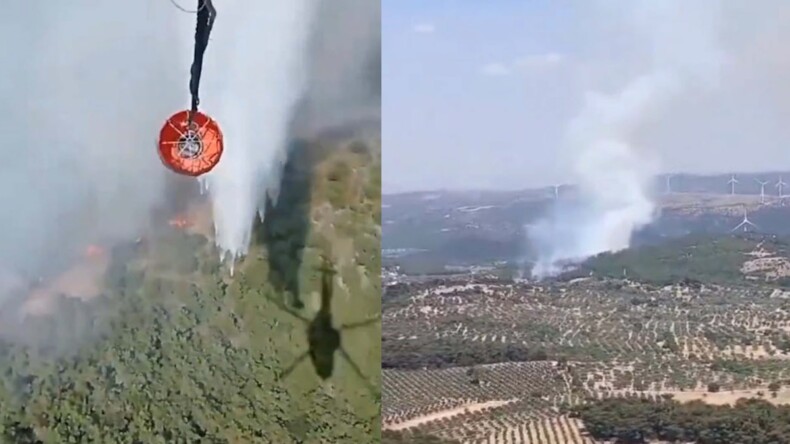 İzmir’de orman yangını!