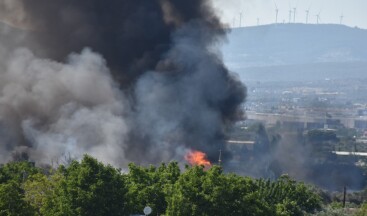 İzmir’de yangın otluk alana sıçradı, ekipler harekete geçti