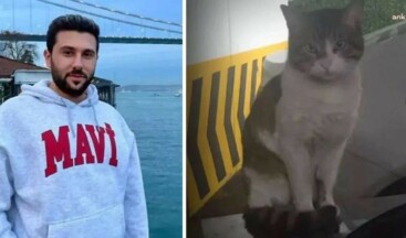 Kedi ‘Eros’u öldüren sanığın cezası onandı