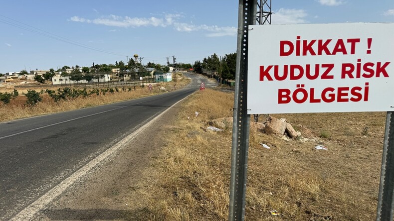 Kuduz paniği: İki mahalle karantinada