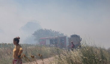 Makilik alanda çıkan yangın kampüsteki ormana sıçradı