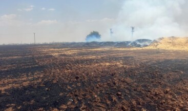 Mardin’de aynı tarlada 4’üncü olay