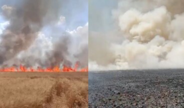 Mardin’de tarla yangınları alarm veriyor!