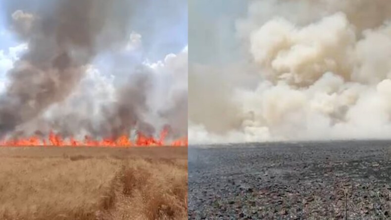 Mardin’de tarla yangınları alarm veriyor!