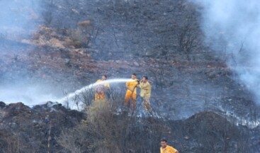 Marmaris’te çıkan orman yangını söndürüldü