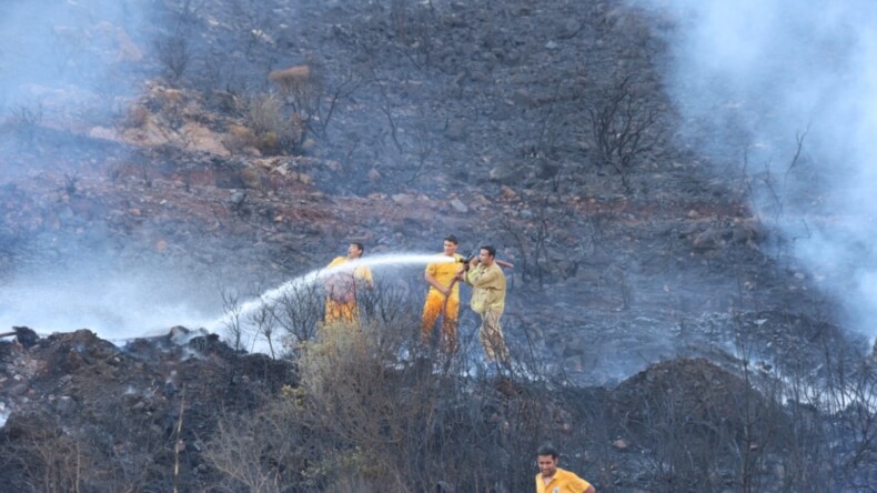 Marmaris’te çıkan orman yangını söndürüldü