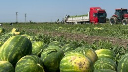 Sıcaklar karpuzun tadını kaçırdı: Fiyatı 2’ye katlandı