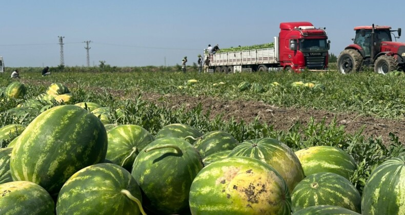 Sıcaklar karpuzun tadını kaçırdı: Fiyatı 2’ye katlandı