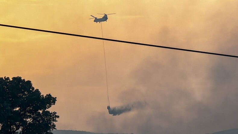 Tarım arazisinde çıkan yangın ormana sıçradı