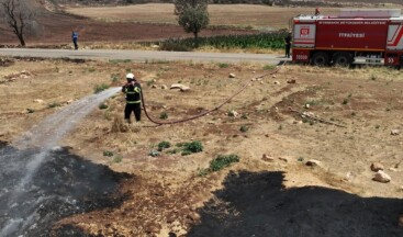 Yangın felaketinde ölü sayısı 14’e yükseldi