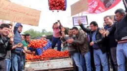 Yerliyi öldürüp yabancıları güldürdüler