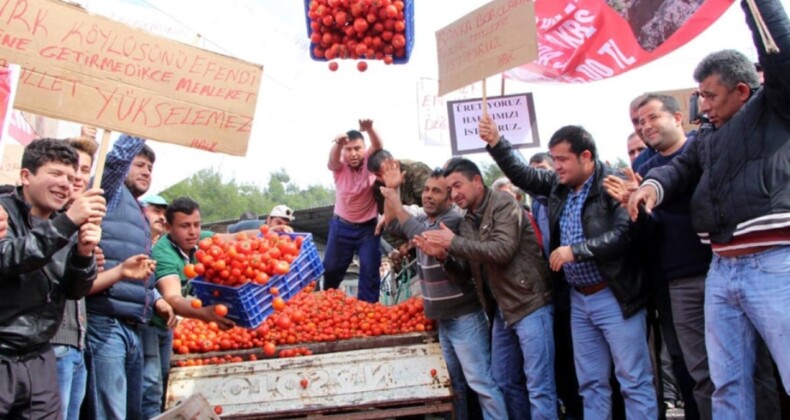 Yerliyi öldürüp yabancıları güldürdüler