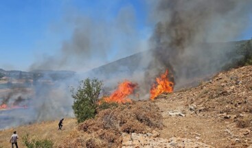 Muğla’da tarım arazilerinde yangın