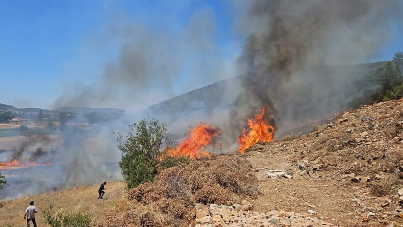 Muğla’da tarım arazilerinde yangın