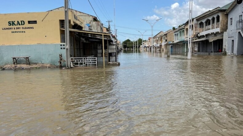 Sel felaketi 2 milyon kişiyi yerinden etti