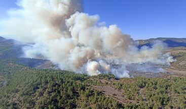 Bursa’da iki noktada orman yangını