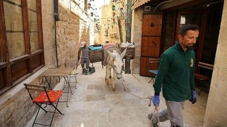 Mardin’de Çöp Taşıyan Eşekler Emekliye Ayrılıyor