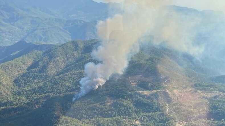 Muğla’da orman yangını: Müdahale sürüyor…