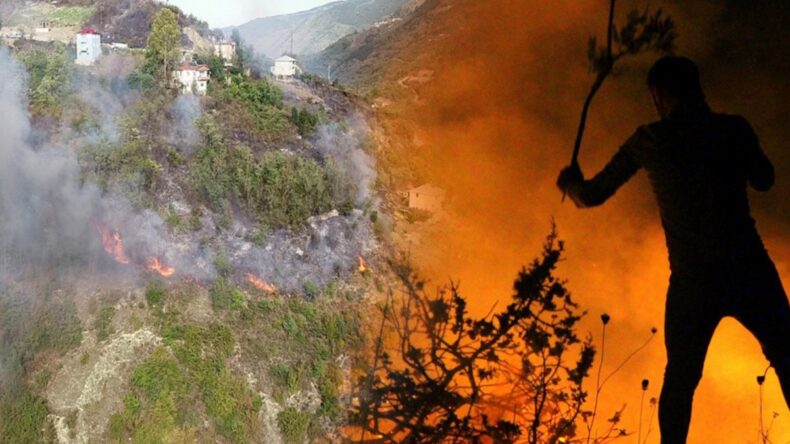 Orman yangınlarında ‘yalancı yaz’ riski