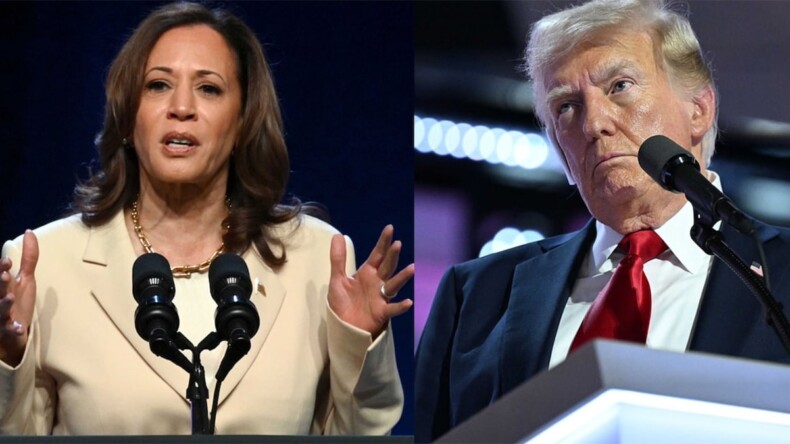 Trump mı, Harris mi… Seçime sayılı günler kala çarpıcı anket